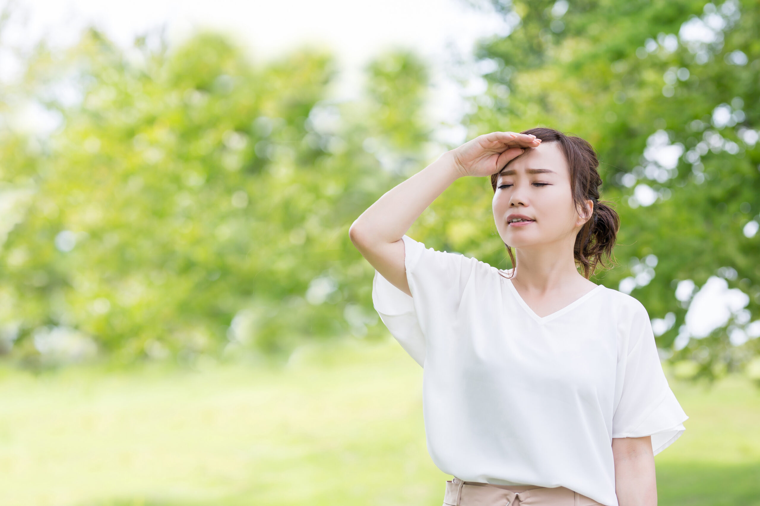 鶴見さん　残暑