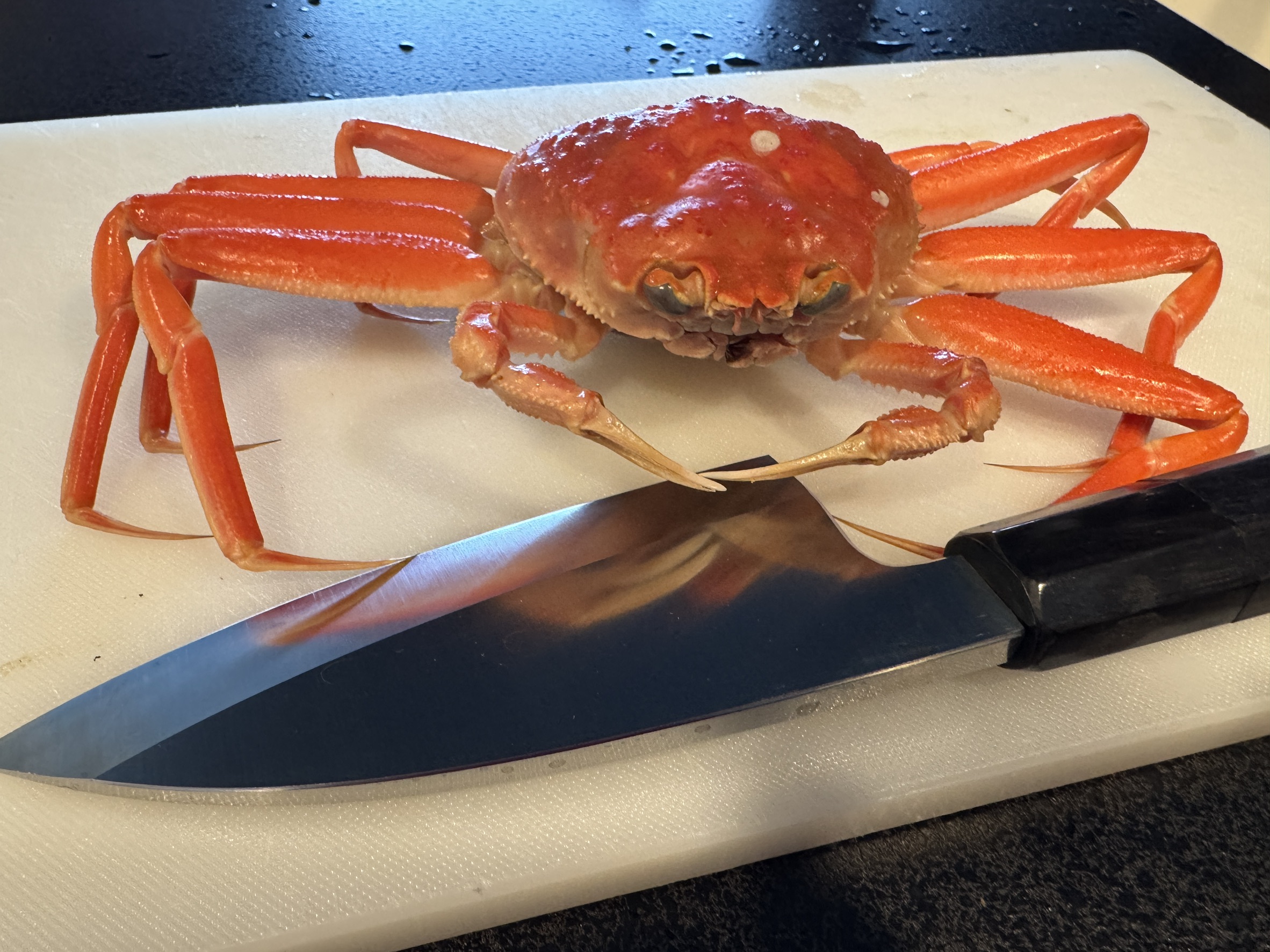 香箱蟹 ズワイガニのメス