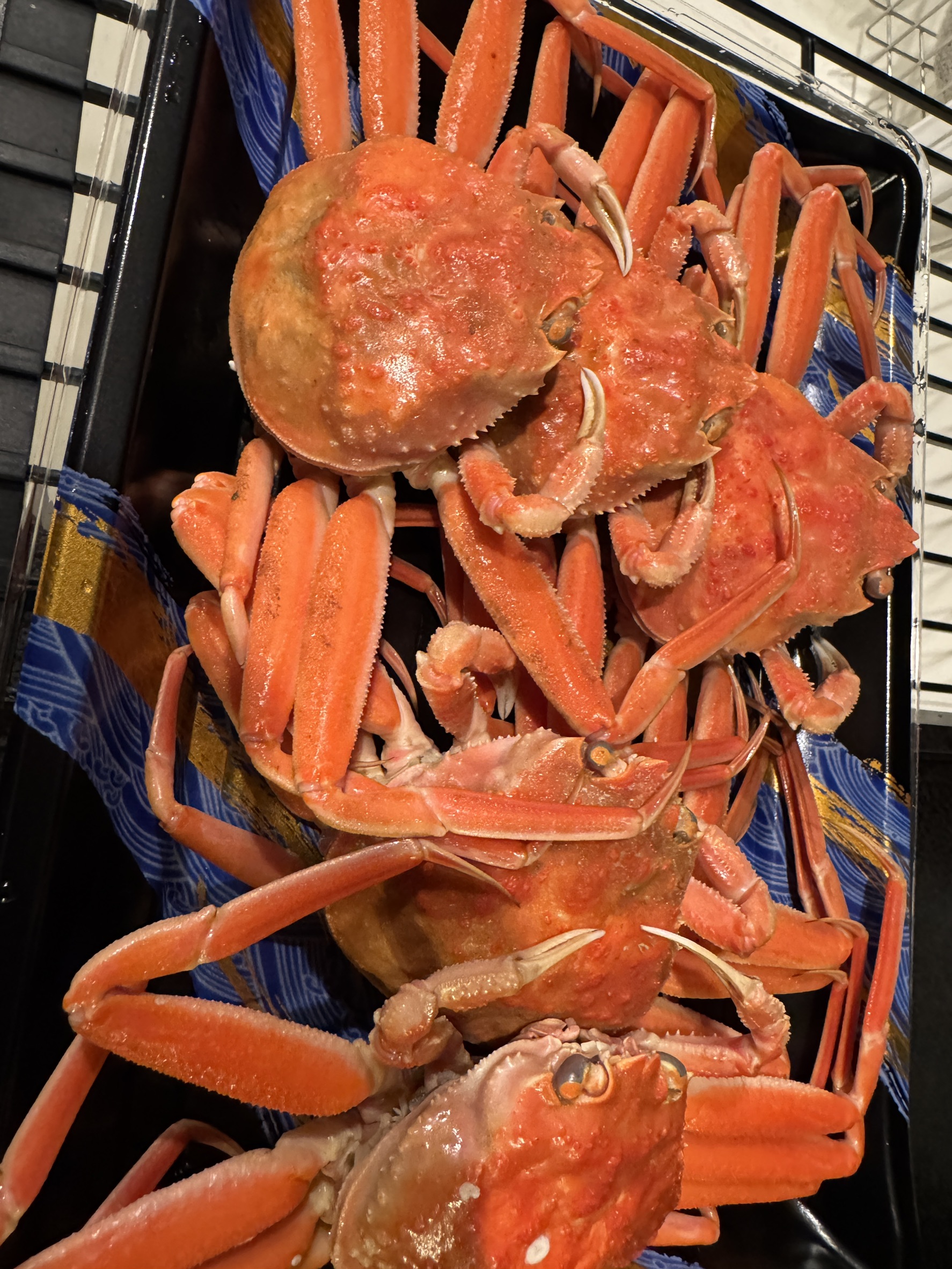 香箱蟹（こうばこがに）ズワイガニのメス