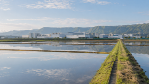 熊本の地下水涵養に学ぶ共存のかたち